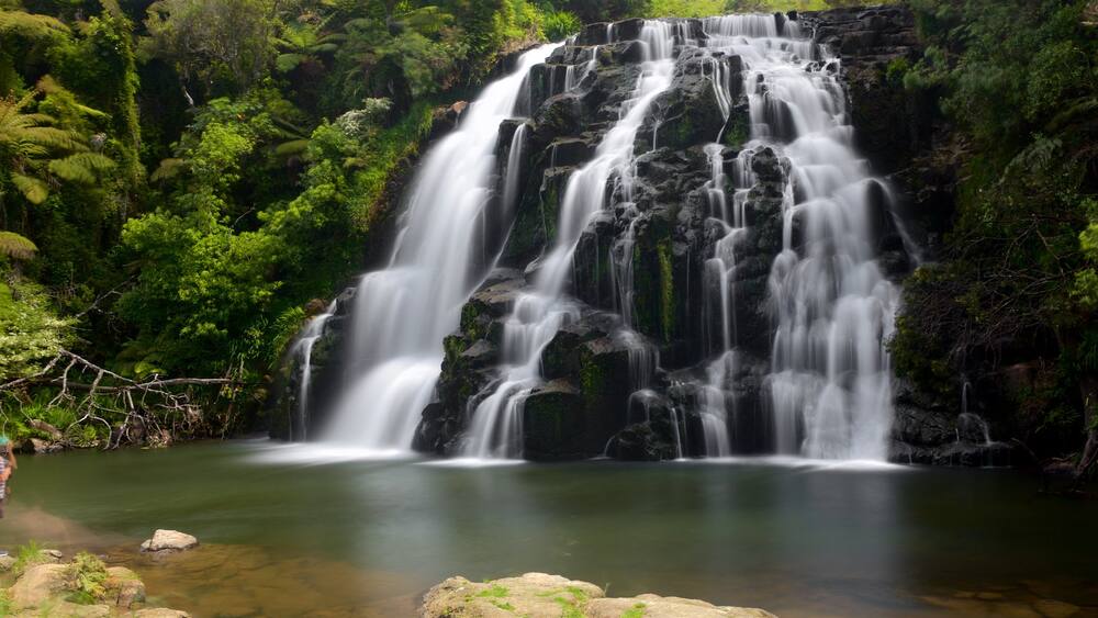 Paeroa showing a waterfall