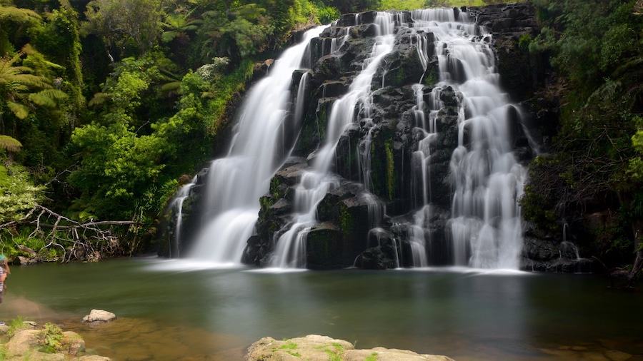 Paeroa inclusief een waterval