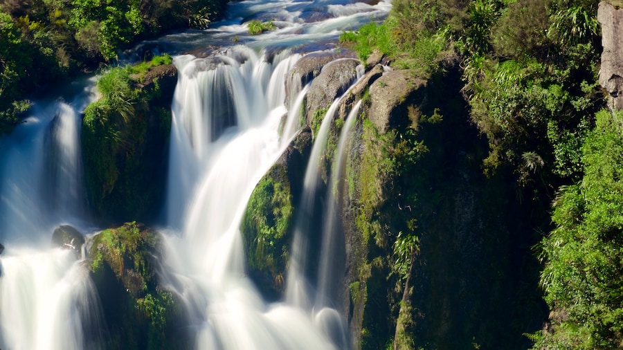 Waipunga Falls que inclui uma cachoeira e um rio ou cĂłrrego