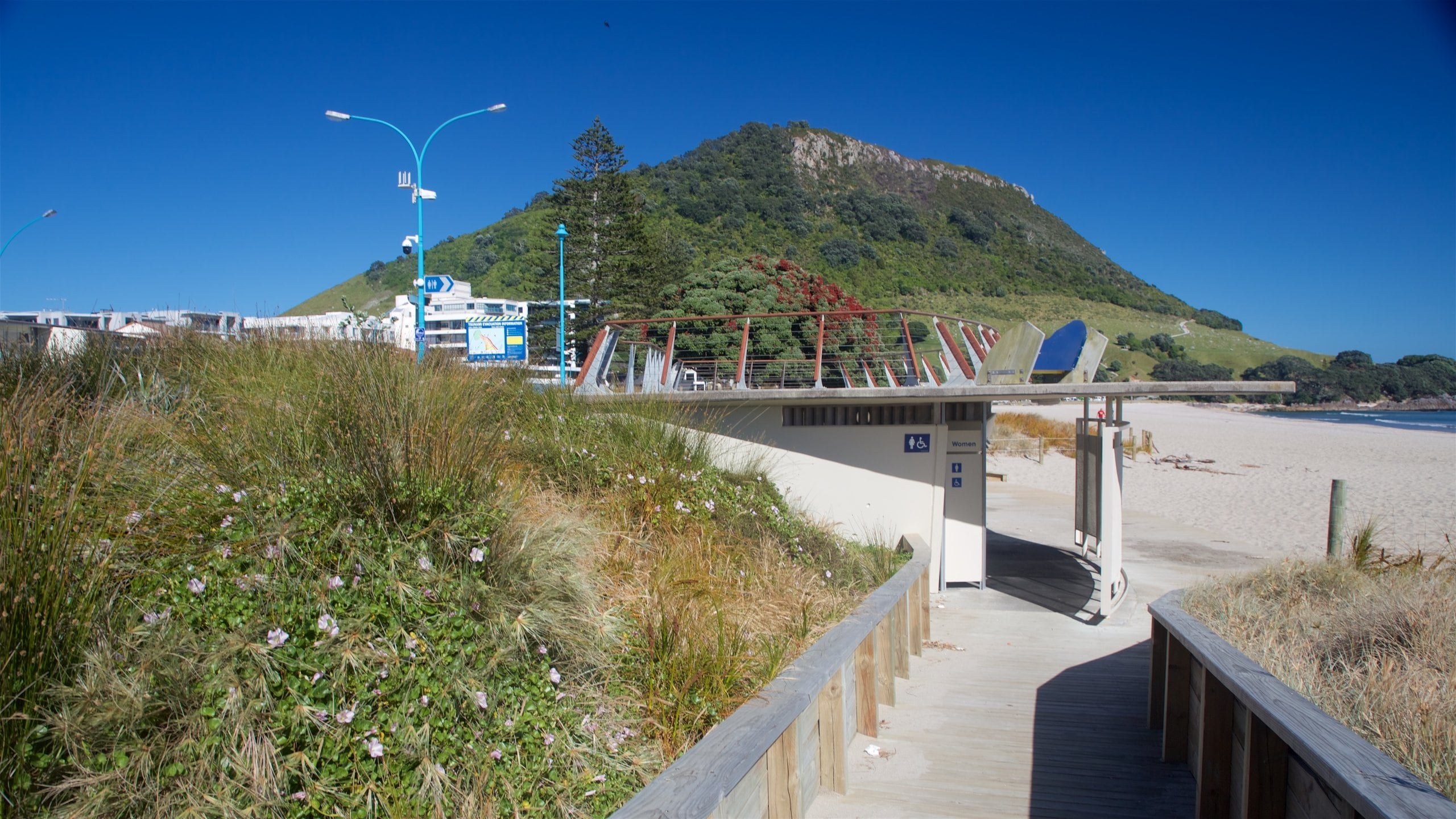 Mount Maunganui featuring mountains, general coastal views and a sandy beach