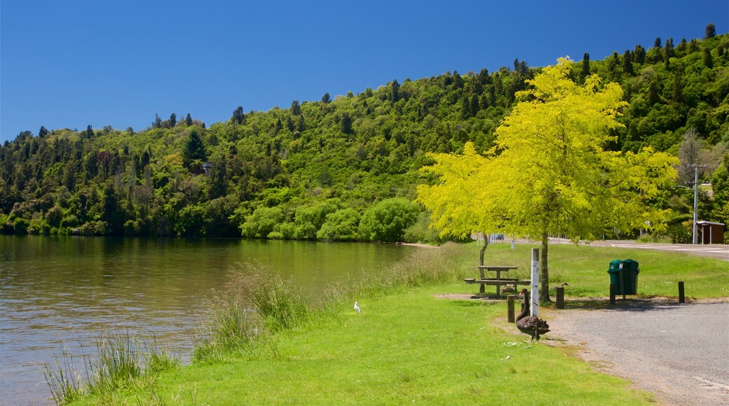 Lake Rotoiti which includes a lake or waterhole and tranquil scenes