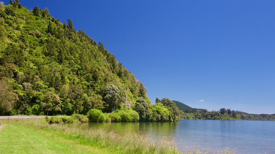 Lake Rotoiti som visar stillsam natur och en sjö eller ett vattenhÄl