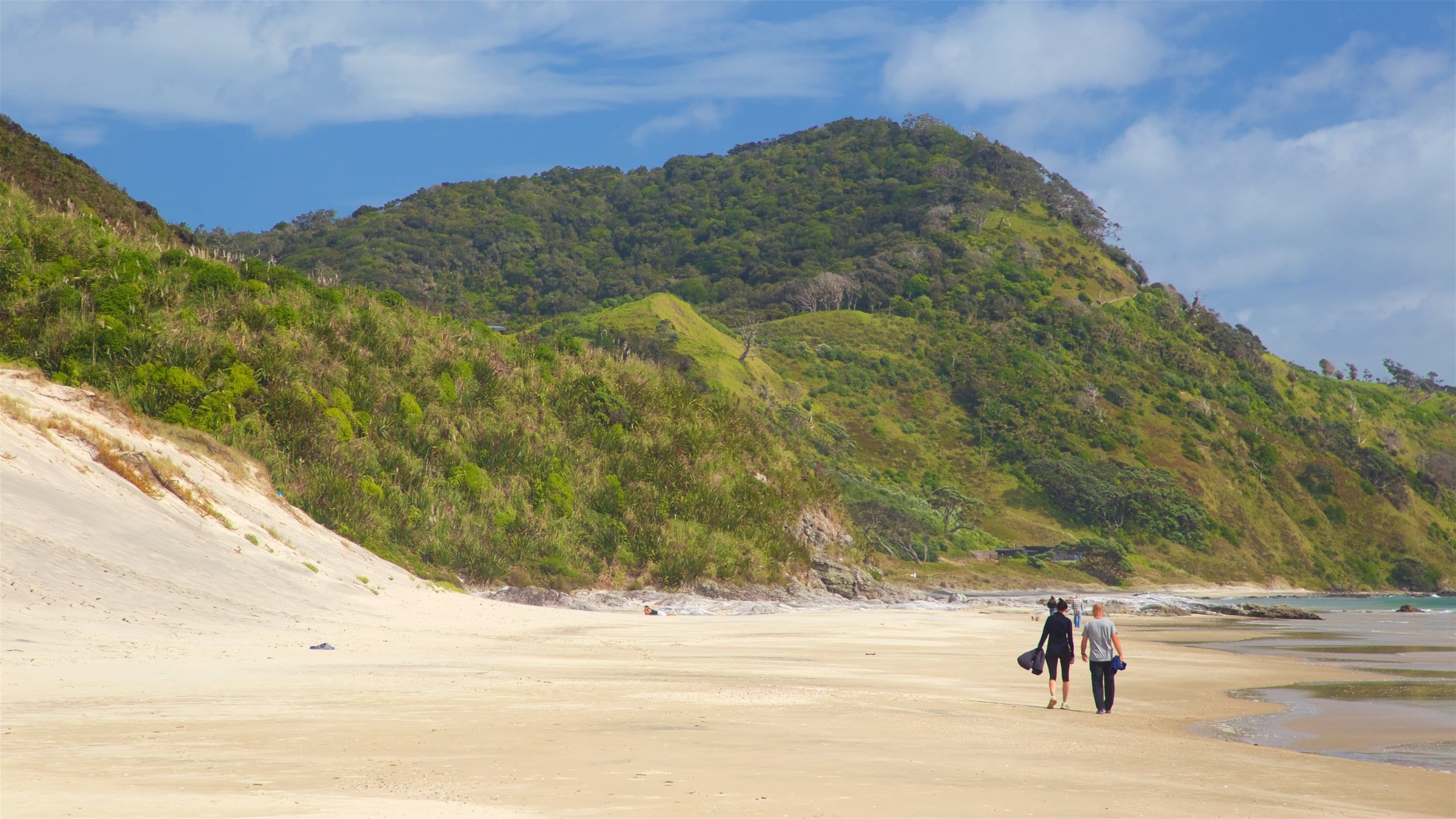 Mangawhai Heads Beach showing a beach, tranquil scenes and general coastal views