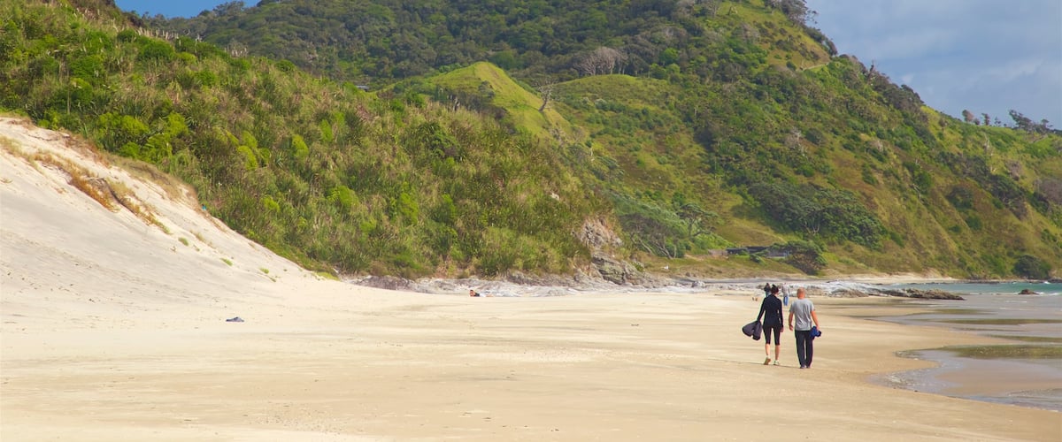 Mangawhai Heads Beach showing a beach, tranquil scenes and general coastal views
