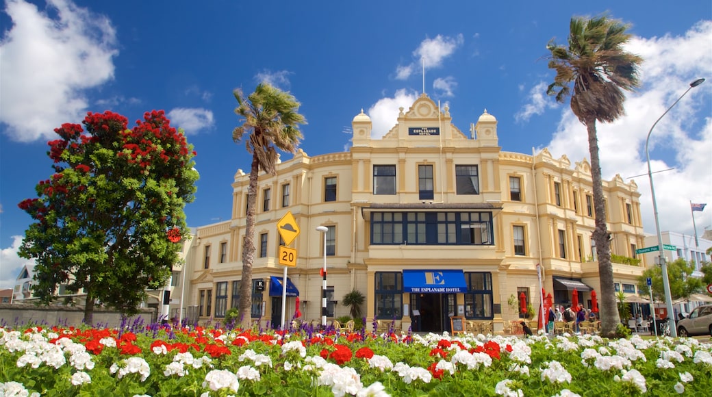 Devonport featuring a garden and flowers