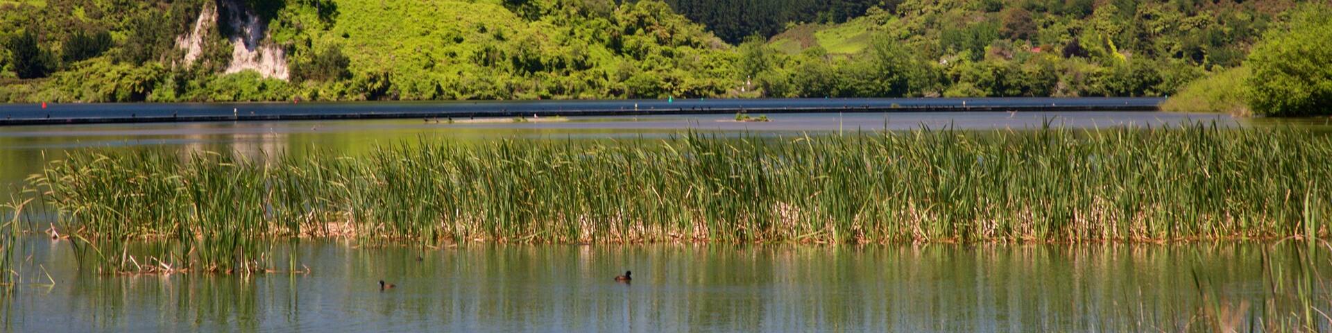 Lake Rotoiti which includes tranquil scenes and a lake or waterhole