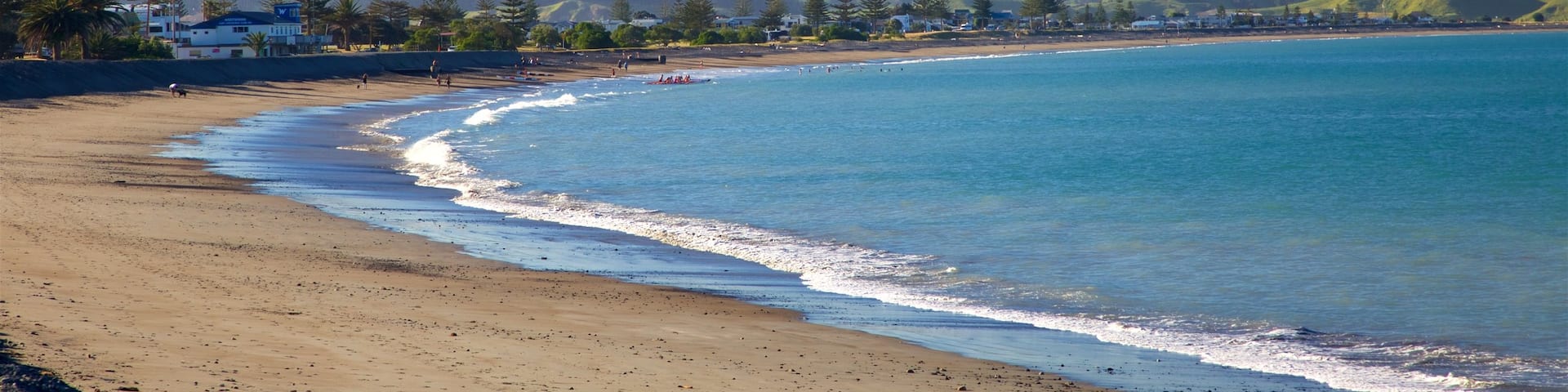 Napier featuring a sandy beach and general coastal views