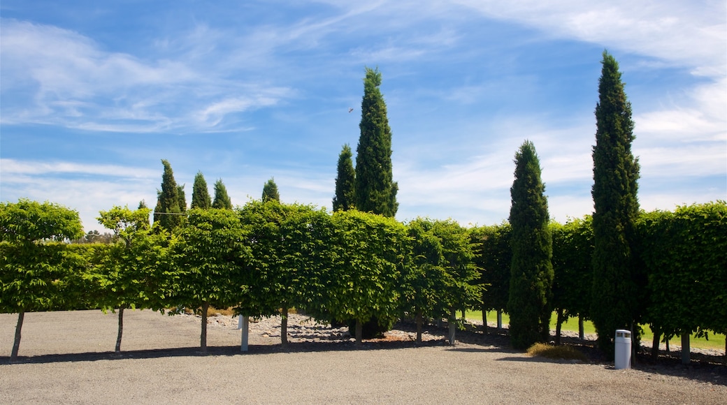 Elephant Hill Estate Winery showing a garden