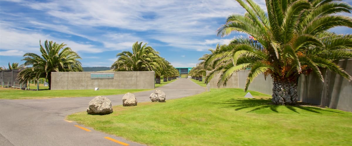 Elephant Hill Estate Winery featuring a garden