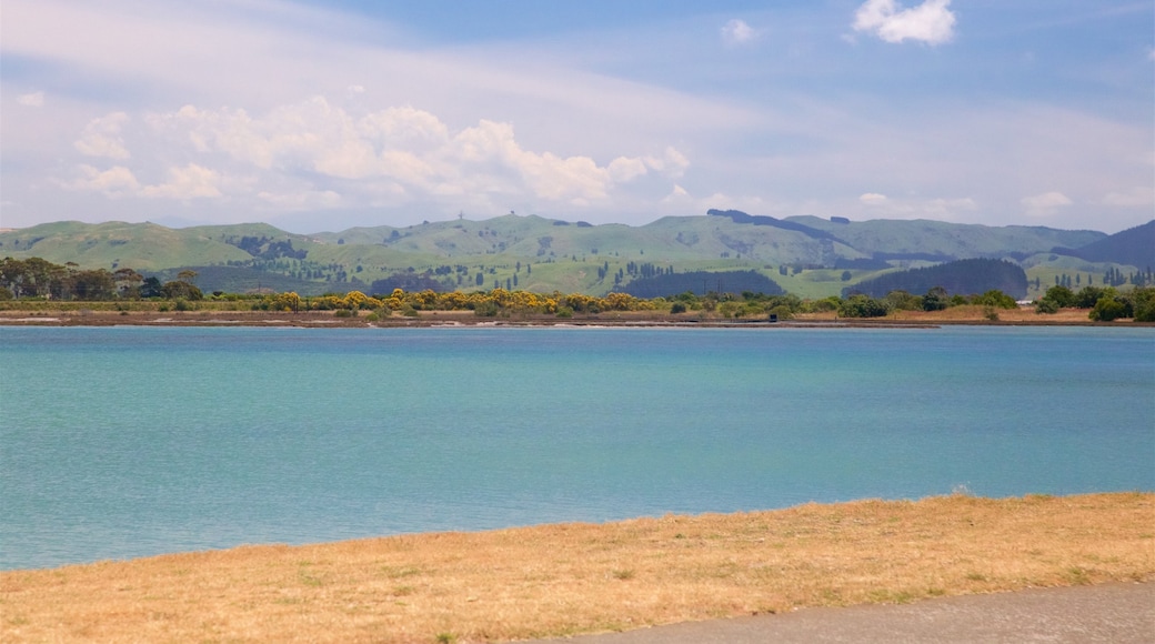 Napier que incluye una bahía o puerto