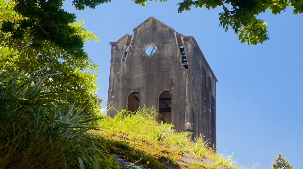 Martha Mine which includes heritage architecture