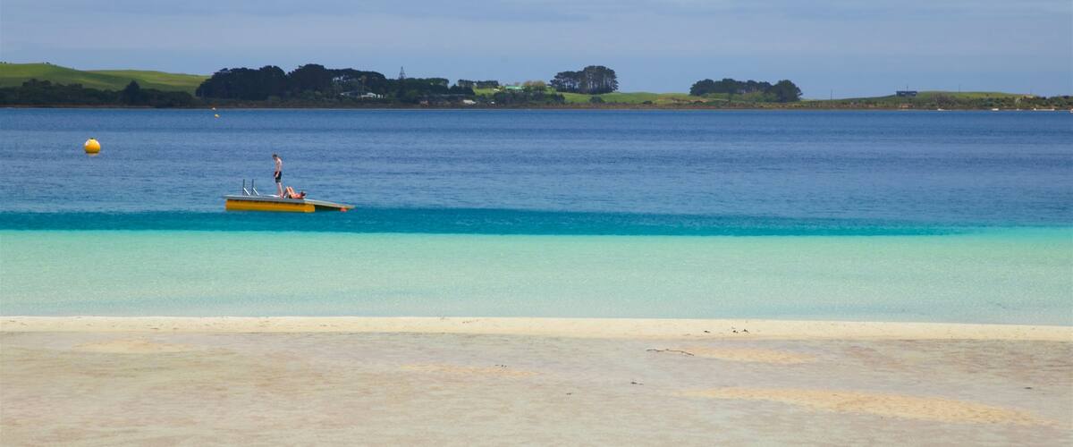 Kai Iwi Lakes que incluye una bahía o puerto, una playa de arena y paseos en lancha