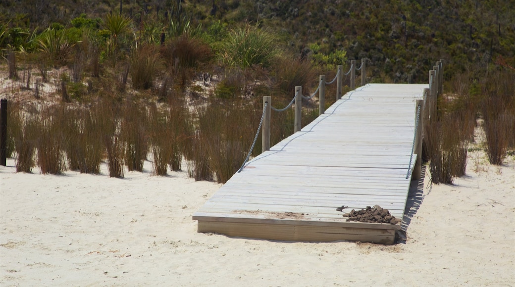 Kai Iwi Lakes which includes a sandy beach