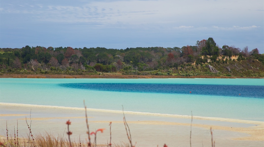 Kai Iwi Lakes welches beinhaltet Bucht oder Hafen und Sandstrand