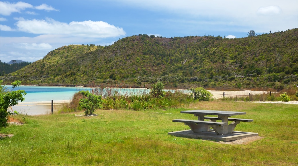 Kai Iwi Lakes which includes a park and a bay or harbour