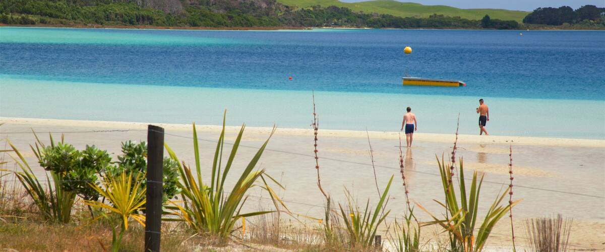 Lacs Kai Iwi montrant plage de sable et baie ou port aussi bien que couple