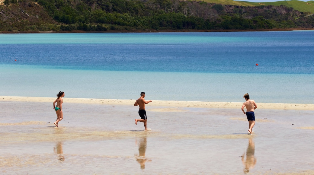 Kai Iwi Lakes which includes a bay or harbor and a beach as well as a small group of people