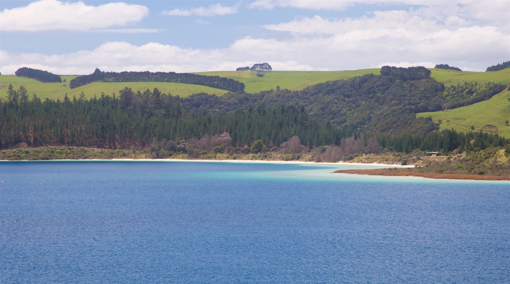 Kai Iwi Lakes showing a bay or harbor and tranquil scenes