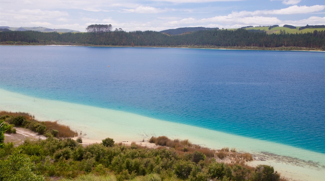 Kai Iwi Lakes which includes a bay or harbor and tranquil scenes