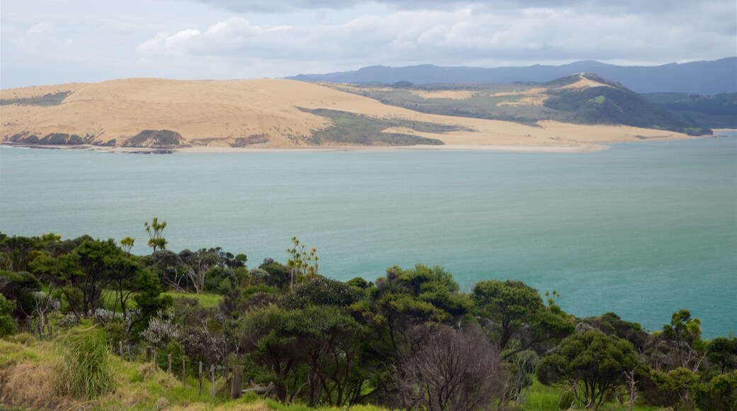 Omapere toont een zandstrand, een baai of haven en vredige uitzichten