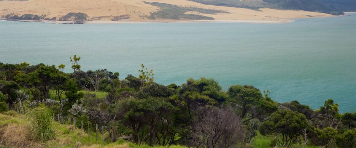 Omapere showing a bay or harbour, a sandy beach and tranquil scenes
