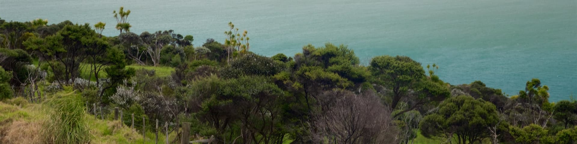Omapere mit einem ruhige Szenerie, Sandstrand und Bucht oder Hafen