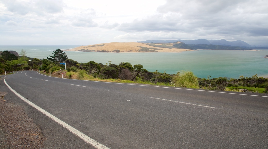 Hokianga Harbour toont algemene kustgezichten