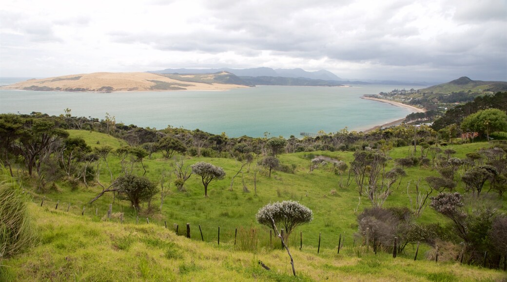 Pakia Hill Lookout