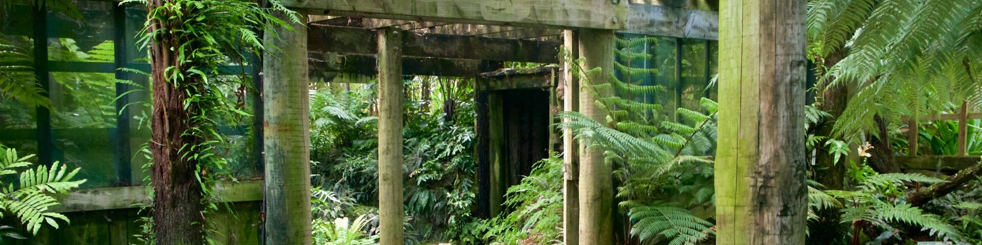 Botanica & Cafler Park showing interior views and a garden
