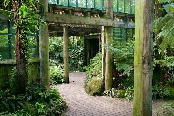 Botanica & Cafler Park フィーチャー 屋内の眺め と 公園