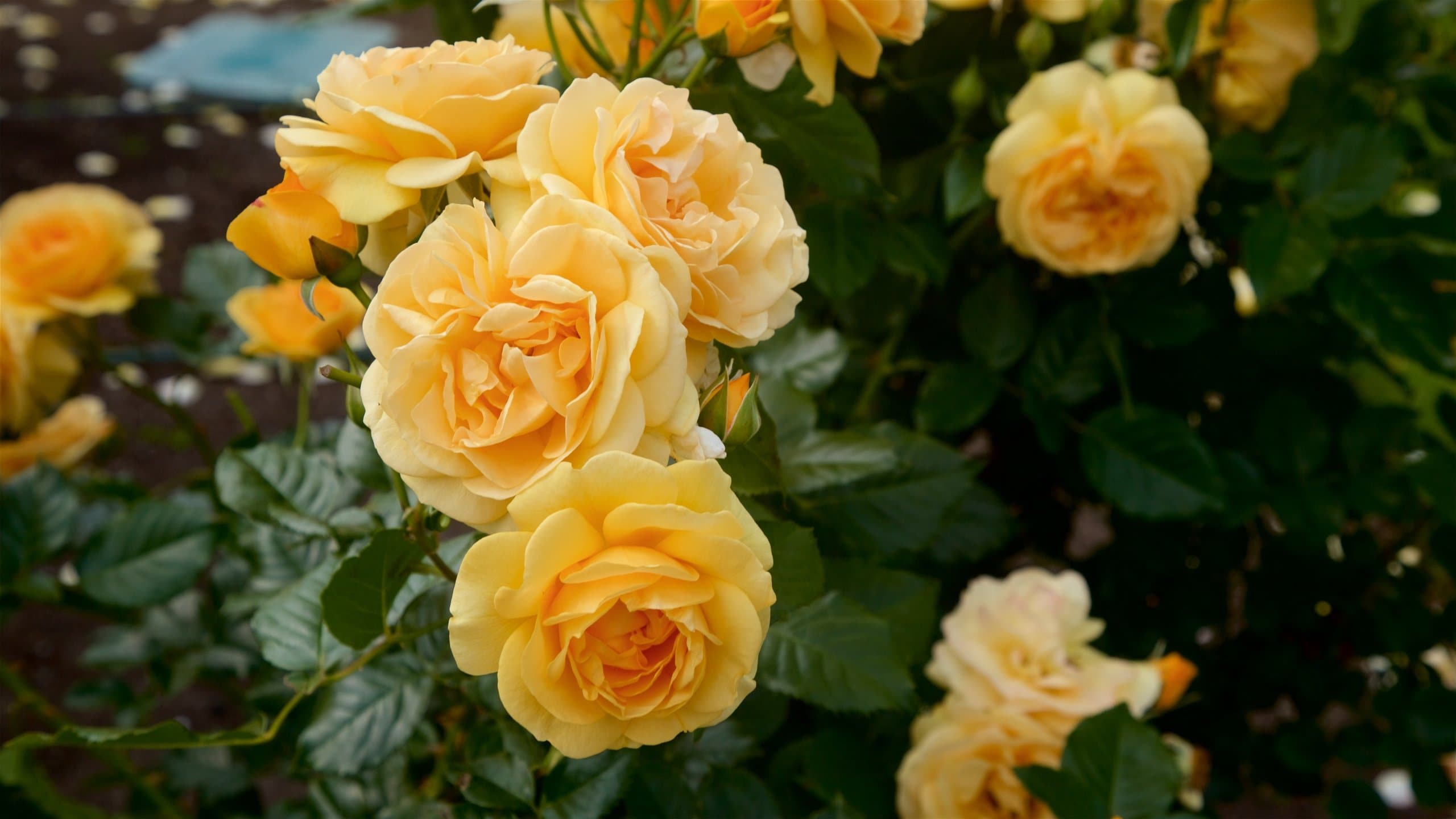 Whangarei, NZ Vacation Rentals house rentals & more Vrbo