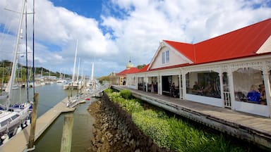 Town Basin Marina showing a bay or harbour