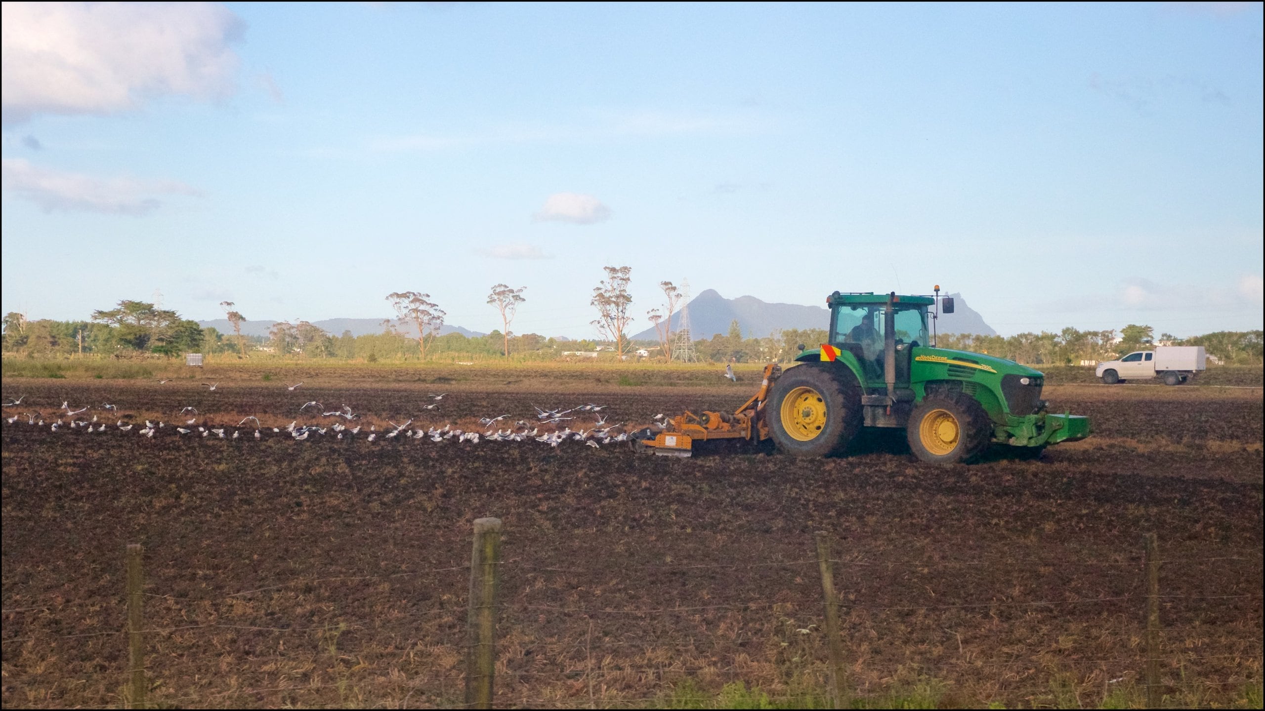 Whangarei which includes landscape views and farmland