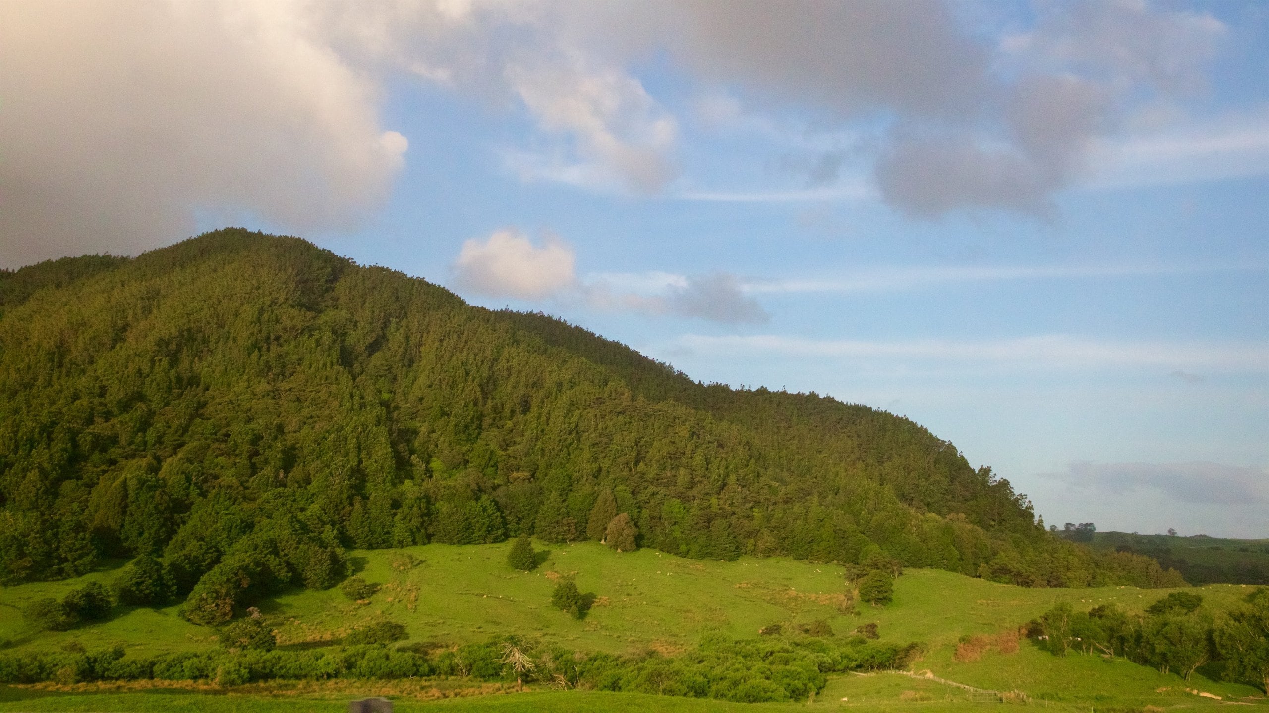 Whangarei showing landscape views and tranquil scenes