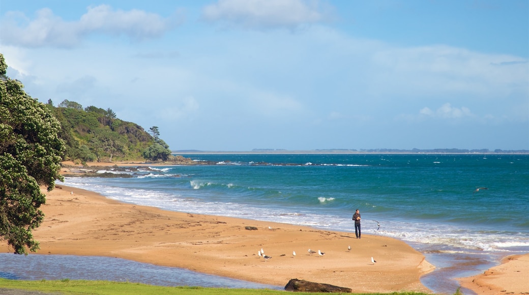 Cable Bay que incluye una playa y vistas de una costa y también un hombre