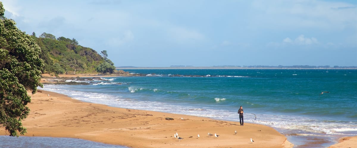 Cable Bay montrant plage de sable et vues littorales aussi bien que homme
