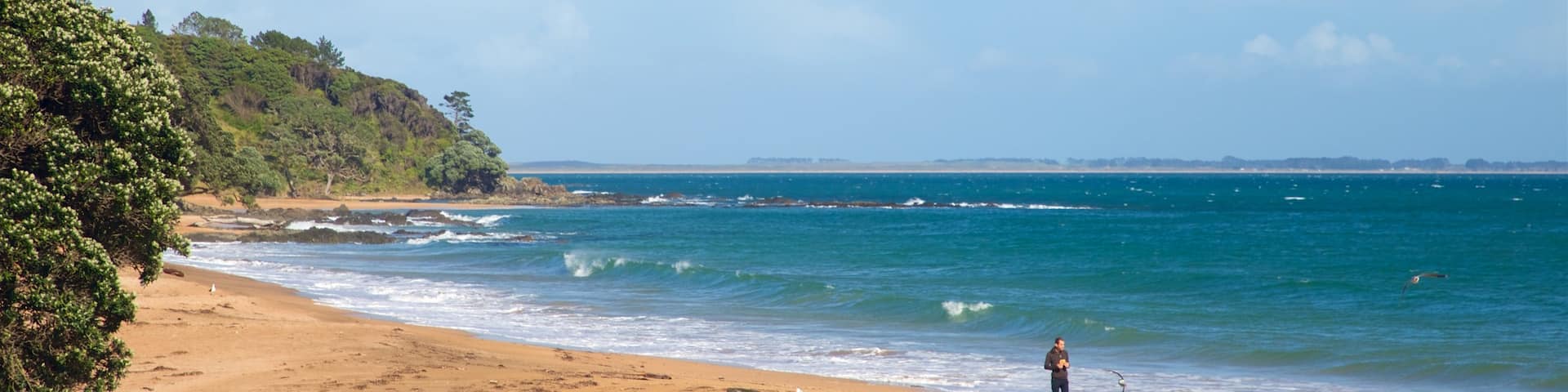Cable Bay which includes a beach and general coastal views as well as an individual male