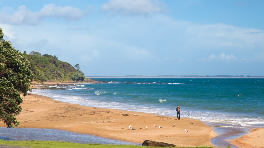 Cable Bay toont algemene kustgezichten en een strand en ook een man