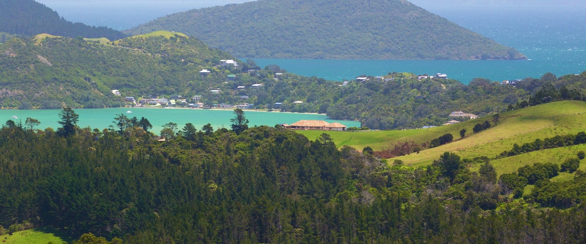 Driving Creek Railway showing landscape views, tranquil scenes and general coastal views