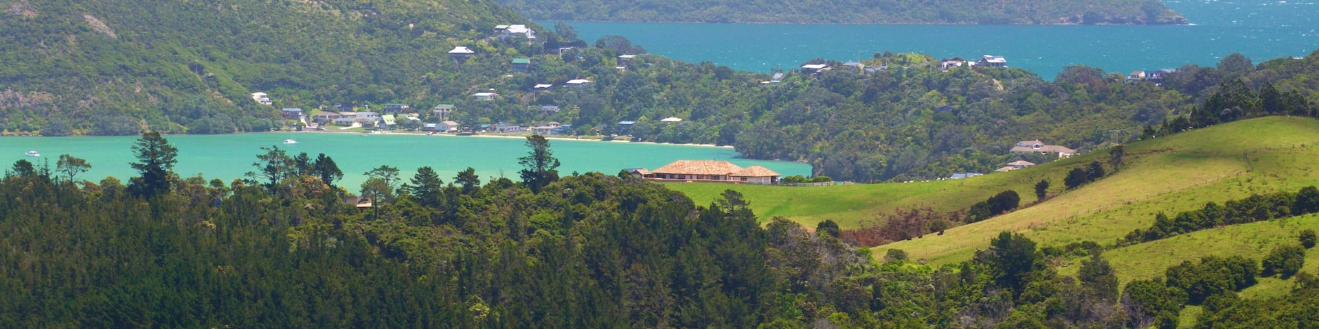 Driving Creek Railway showing general coastal views, tranquil scenes and landscape views
