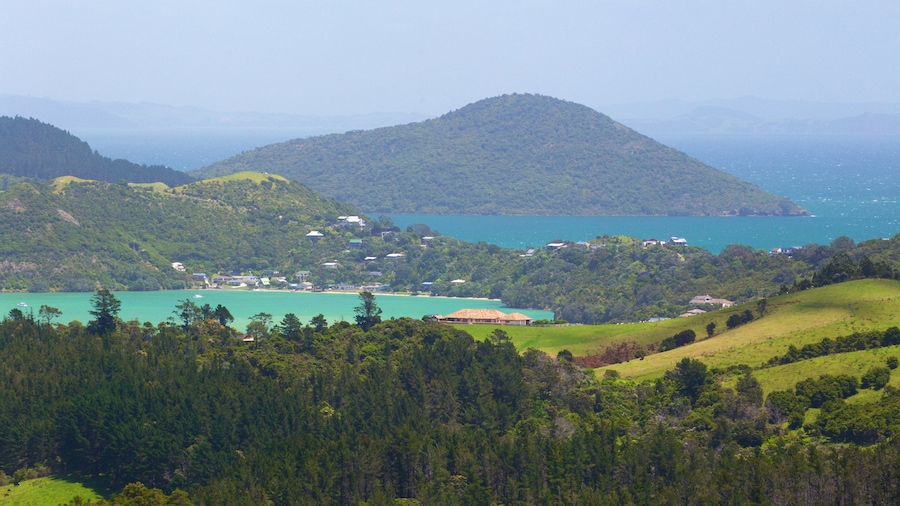 Driving Creek Railway showing landscape views, tranquil scenes and general coastal views