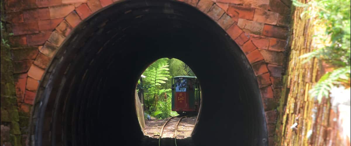 Driving Creek Railway showing railway items