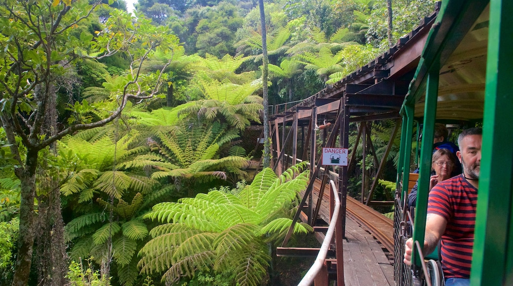 Ferrocarril Driving Creek Railway ofreciendo artículos ferroviarios y bosques y también un pequeño grupo de personas