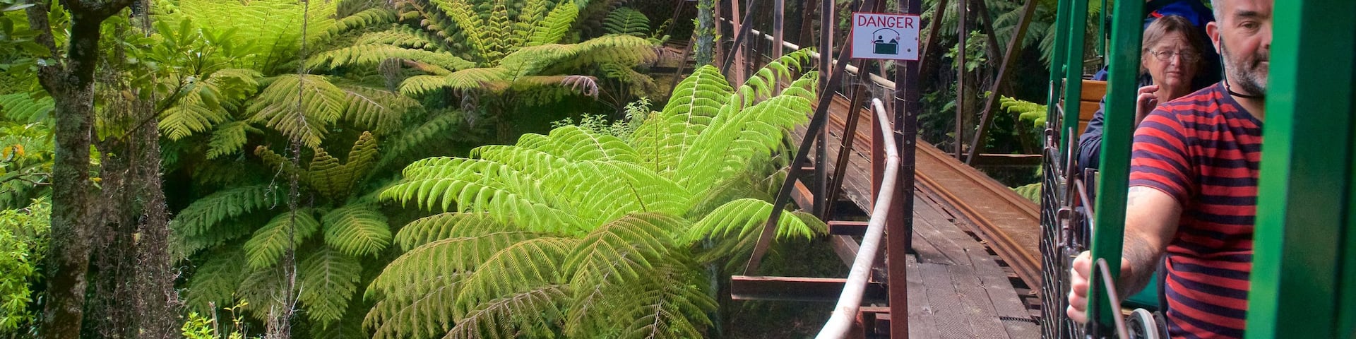 Driving Creek Railway showing forests and railway items as well as a small group of people