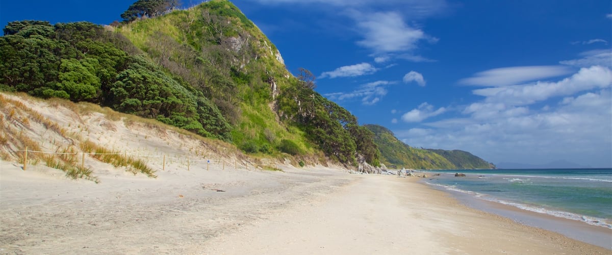 Mangawhai Heads Beach que incluye vistas generales de la costa y una playa