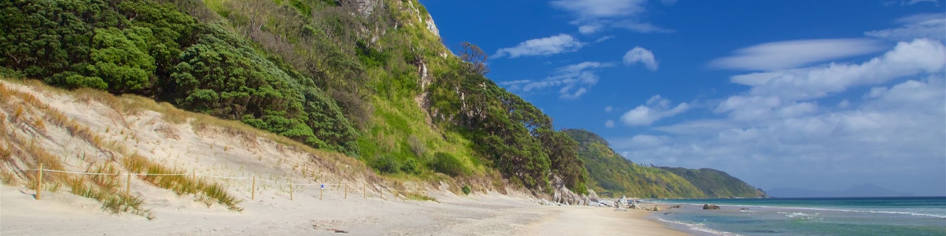 Mangawhai Heads Beach featuring a sandy beach and general coastal views