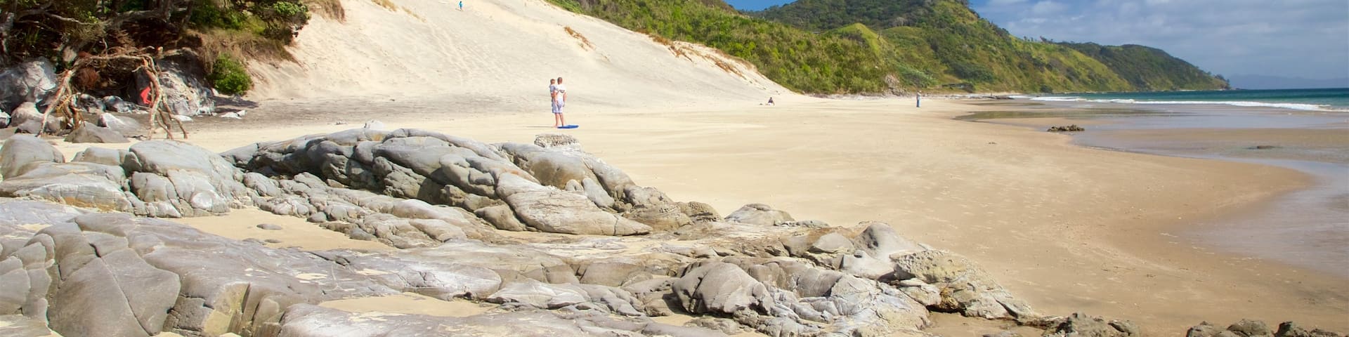 Mangawhai Heads Beach featuring a sandy beach and general coastal views