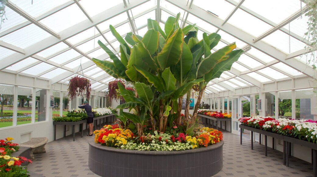 Hastings showing a garden, interior views and flowers