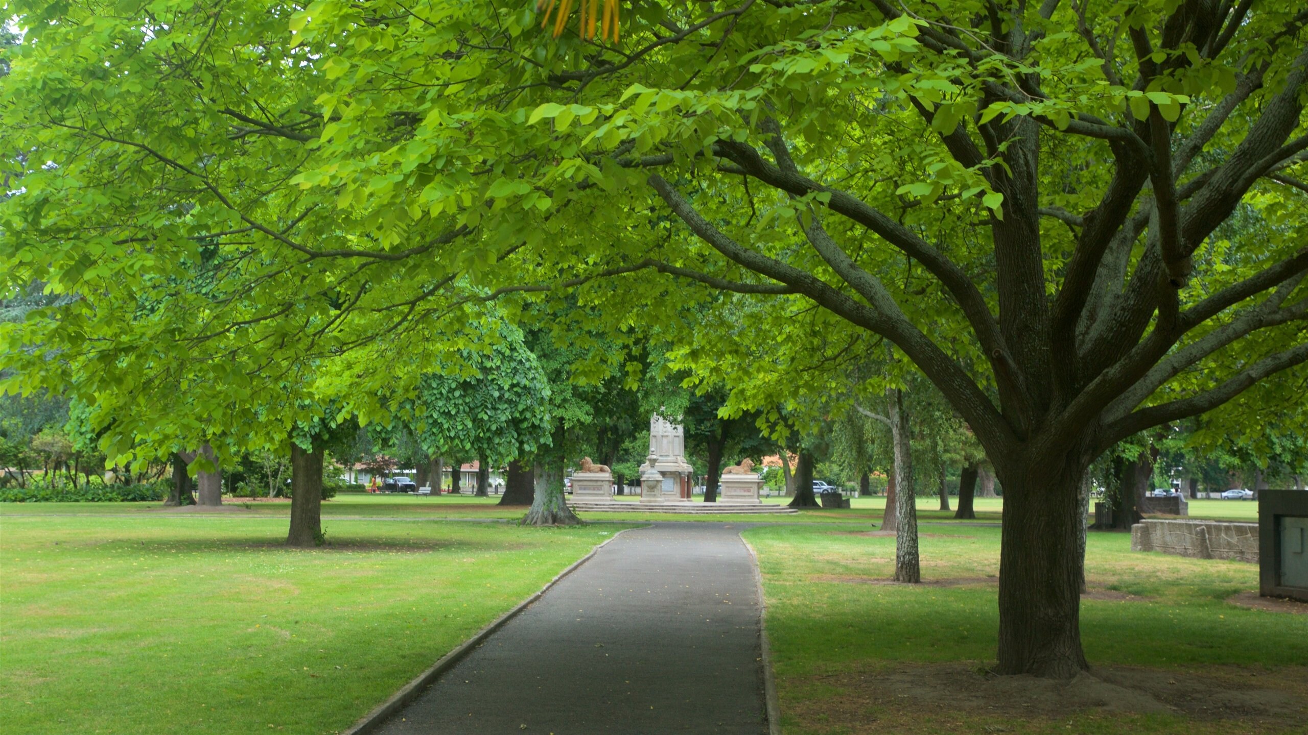 Cornwall Park, Hastings Vacation Rentals house rentals & more Vrbo