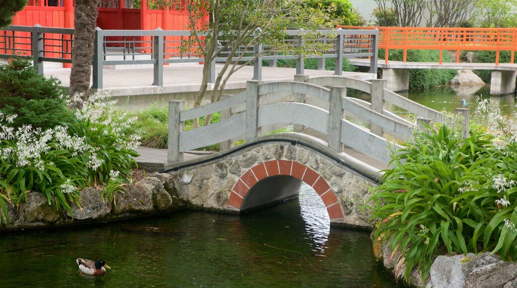 Hastings showing a bridge, bird life and a river or creek